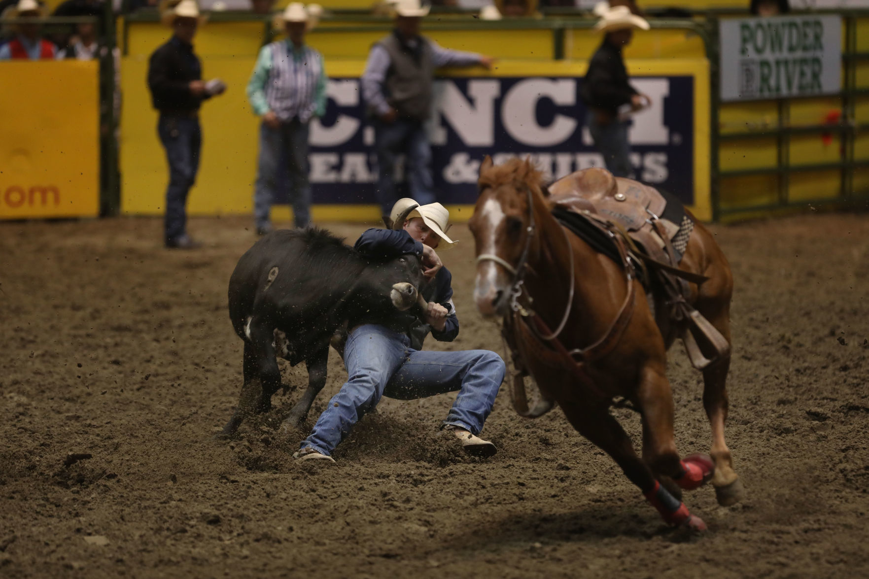 CNFR: Friday